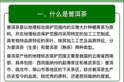 成就未来下一句