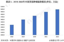 茶叶亩产量一般多少斤