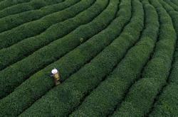 资阳喝茶地方