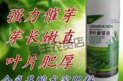 茶叶用什么肥料不开花呢