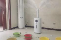 白醋和茶叶能除甲醛嘛有效果吗