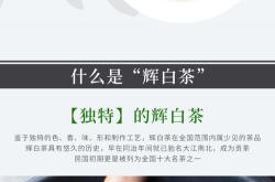 浙江嵊州辉白茶叶