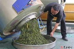 成都的茶叶市场在哪里