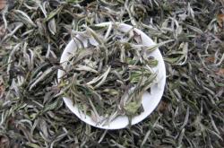 福建福鼎茶叶