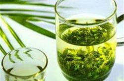 夏天的茶叶可以摘吗