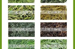 凤台万紫千红茶叶店