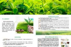 南方地区种植茶叶的有利条件