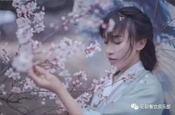 李子柒茶道