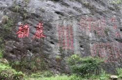 江山茶叶什么价格表