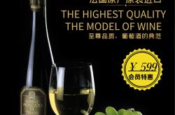 进口红酒推广方案