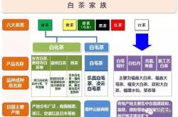 每种茶叶的特点有哪些