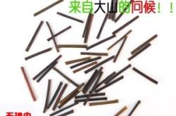 茶叶棍要消毒吗