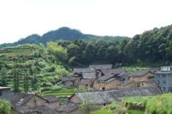 松阳裕溪茶叶厂招聘