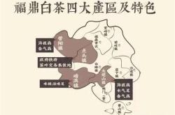 湖南省的茶叶