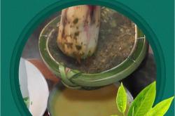 打油茶的茶叶是哪种茶叶