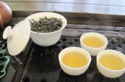 降高血脂的茶叶
