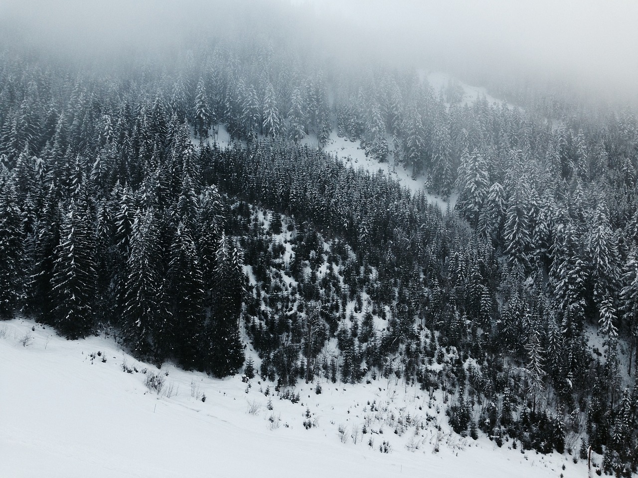 漠河积雪深度，雪中的故事与感悟