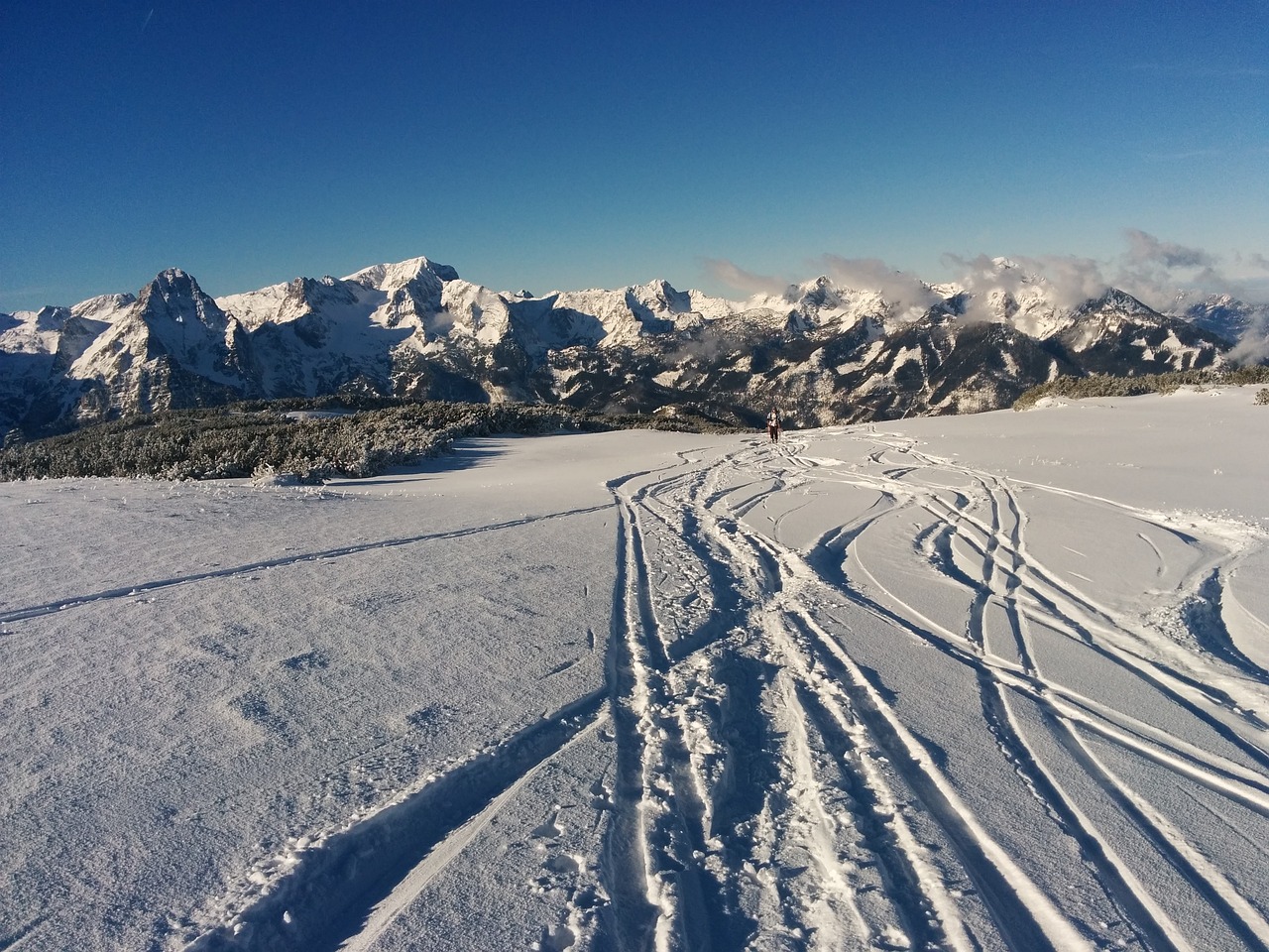 东北的雪，紫到深处情更浓