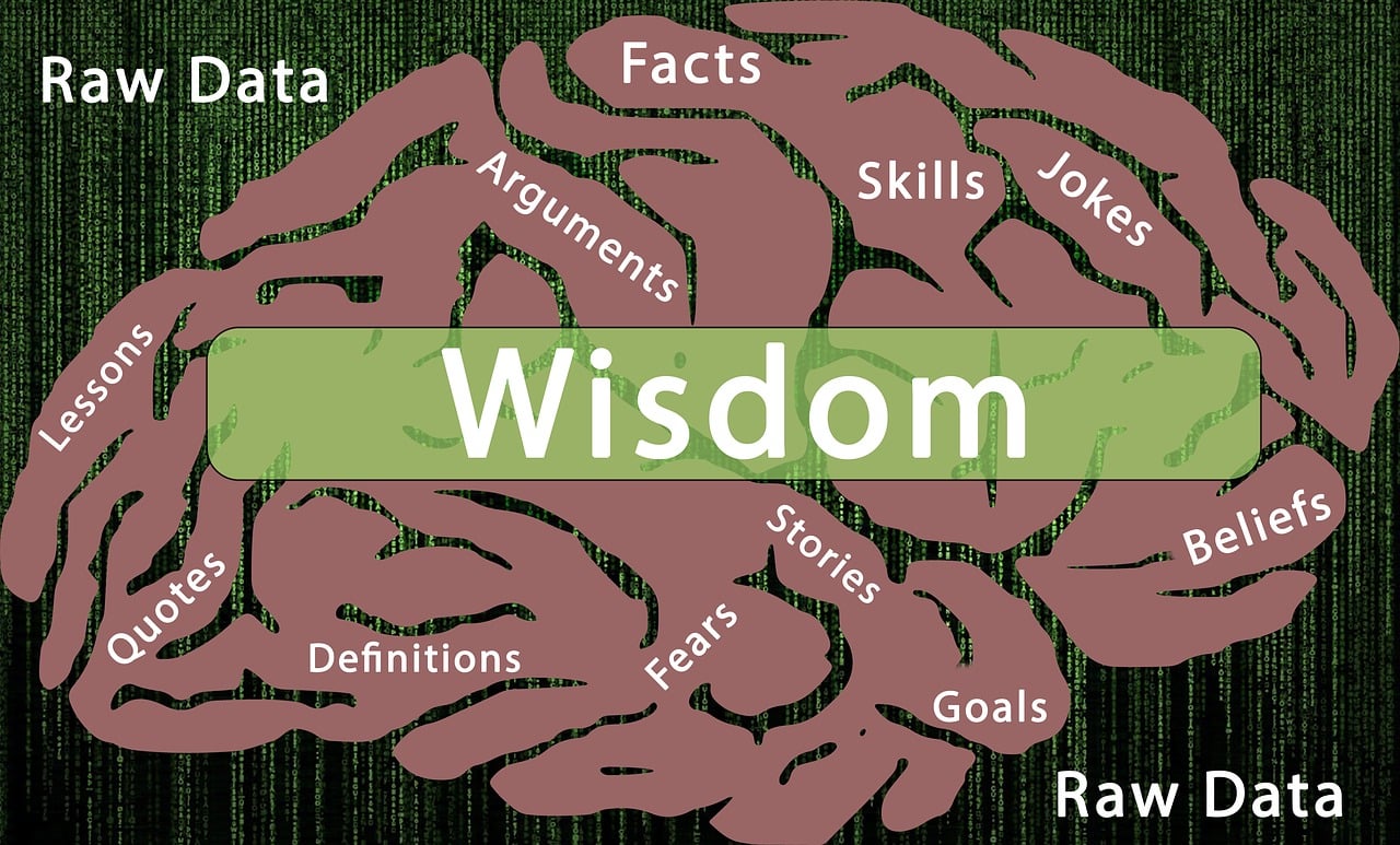 揭秘明知故犯生肖密码，行为背后的心理与人生智慧
