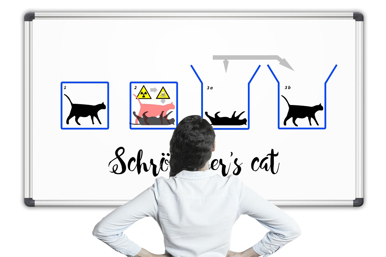 薛定谔的猫，量子力学与现实世界的奇妙隐喻