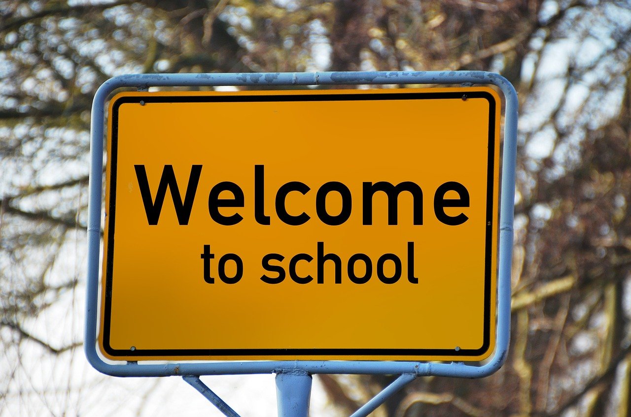 幼儿园生活常识知识大全，小小探索者的启蒙之旅
