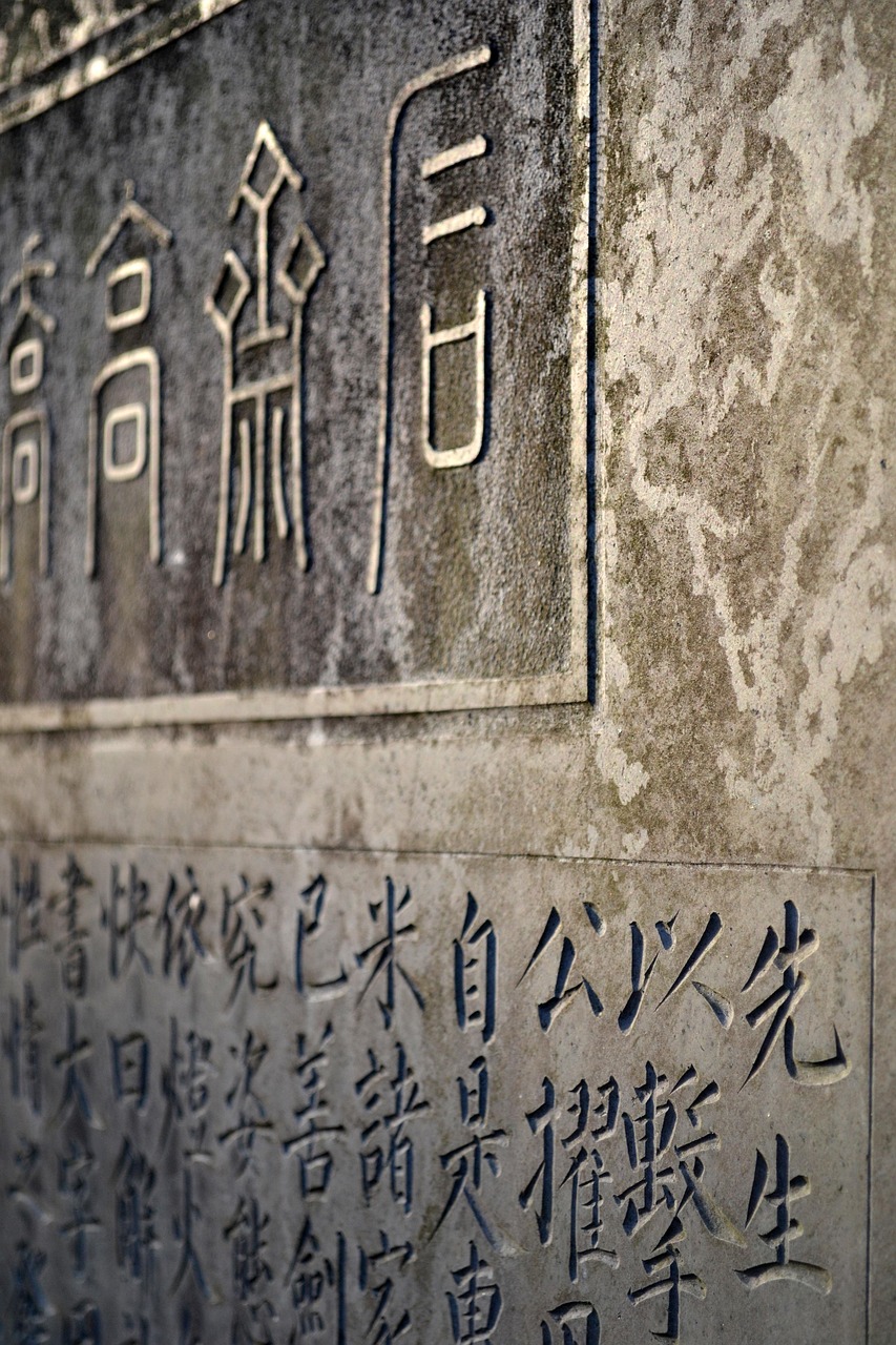 传统文化的现代传承，800字作文中的文化瑰宝
